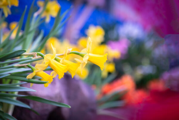 Easter in Paddington