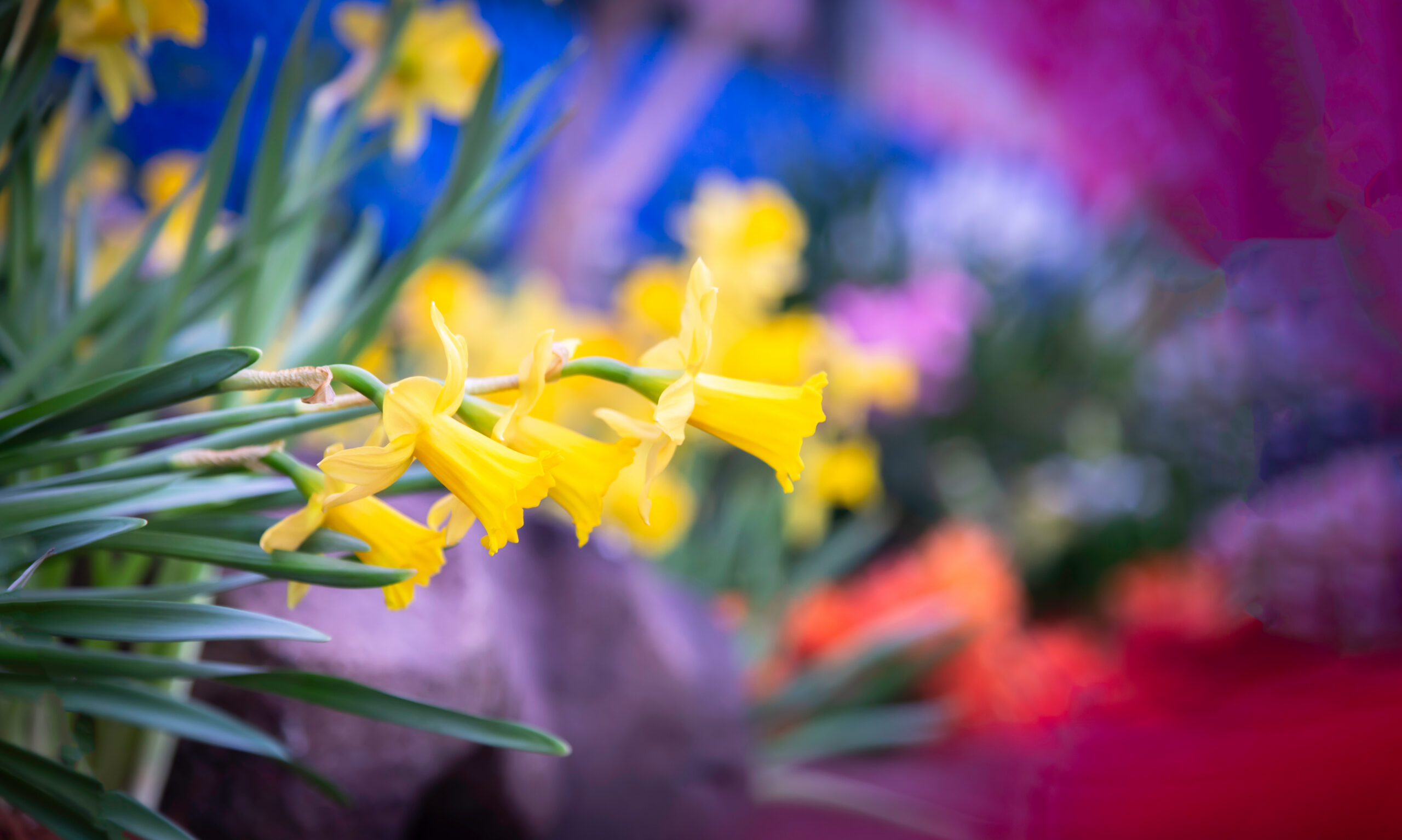 Easter in Paddington